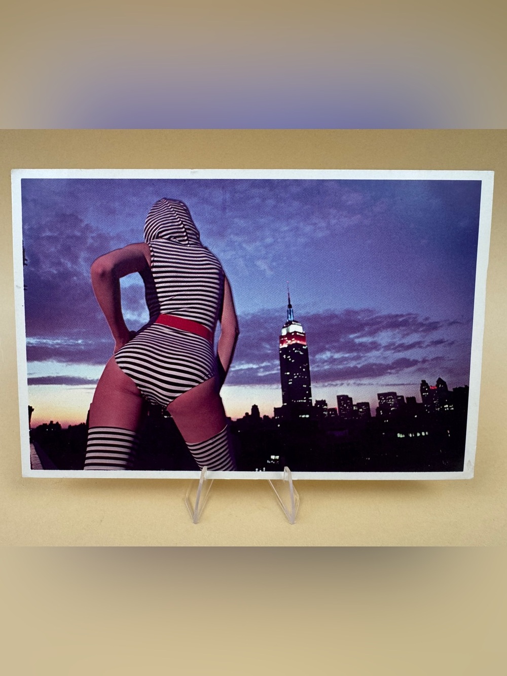 Vintage 1981 New York City Postcard Jan Cobb American Postcard Co #050 Style